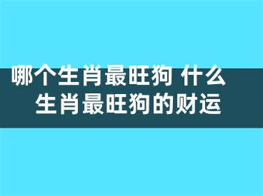 哪个生肖最旺狗 什么生肖最旺狗的财运