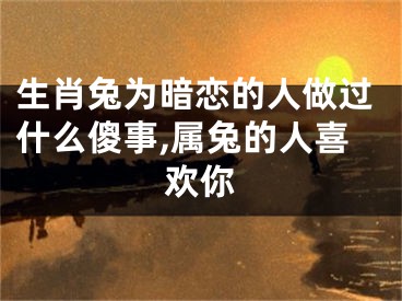 生肖兔为暗恋的人做过什么傻事,属兔的人喜欢你