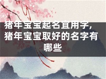 猪年宝宝起名宜用字,猪年宝宝取好的名字有哪些