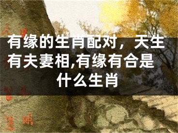 有缘的生肖配对，天生有夫妻相,有缘有合是什么生肖