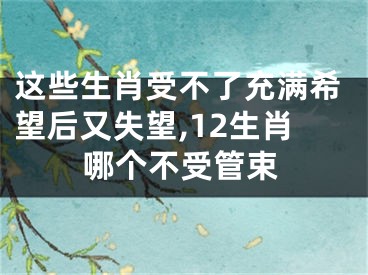 这些生肖受不了充满希望后又失望,12生肖哪个不受管束