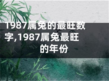 1987属兔的最旺数字,1987属兔最旺的年份