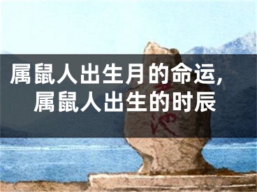 属鼠人出生月的命运,属鼠人出生的时辰