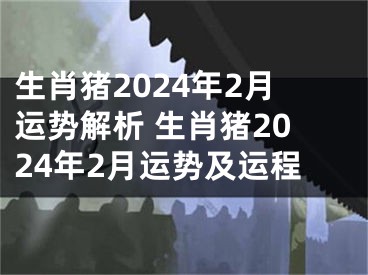 生肖猪2024年2月运势解析 生肖猪2024年2月运势及运程