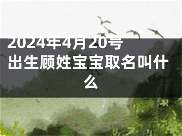 2024年4月20号出生顾姓宝宝取名叫什么