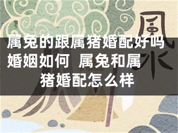 属兔的跟属猪婚配好吗婚姻如何  属兔和属猪婚配怎么样