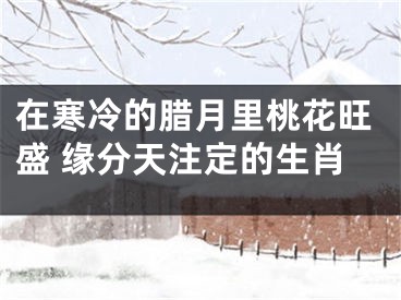 在寒冷的腊月里桃花旺盛 缘分天注定的生肖