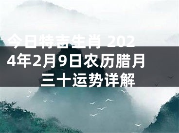 今日特吉生肖 2024年2月9日农历腊月三十运势详解
