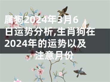 属狗2024年3月6日运势分析,生肖狗在2024年的运势以及注意月份