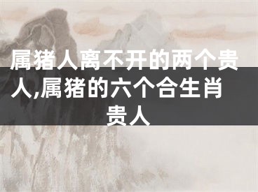 属猪人离不开的两个贵人,属猪的六个合生肖贵人