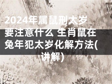 2024年属鼠刑太岁要注意什么 生肖鼠在兔年犯太岁化解方法(讲解)