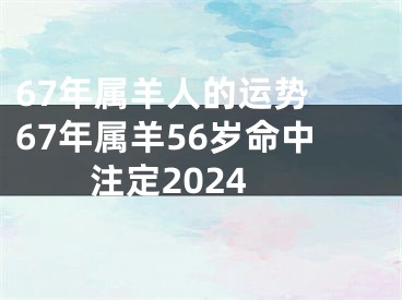 67年属羊人的运势 67年属羊56岁命中注定2024