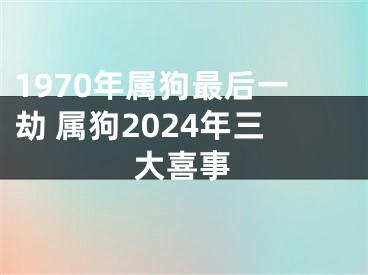 1970年属狗最后一劫 属狗2024年三大喜事