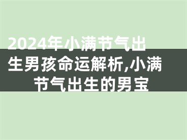 2024年小满节气出生男孩命运解析,小满节气出生的男宝