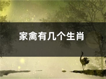 家禽有几个生肖