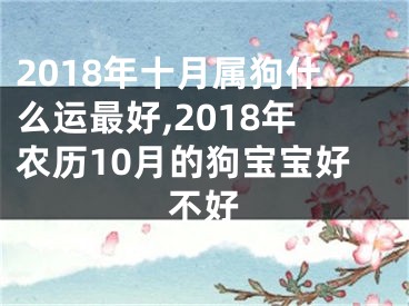 2018年十月属狗什么运最好,2018年农历10月的狗宝宝好不好