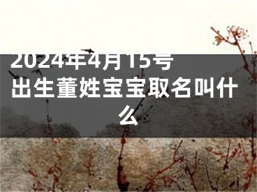2024年4月15号出生董姓宝宝取名叫什么