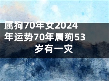 属狗70年女2024年运势70年属狗53岁有一灾