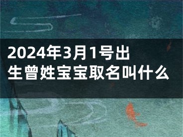 2024年3月1号出生曾姓宝宝取名叫什么