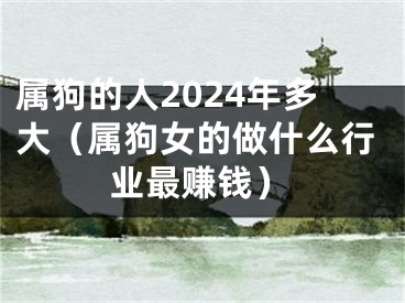 属狗的人2024年多大（属狗女的做什么行业最赚钱）