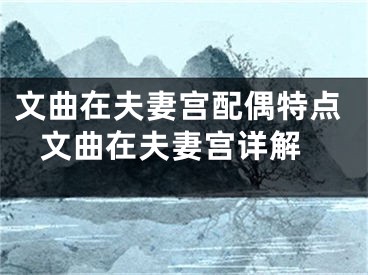 文曲在夫妻宫配偶特点 文曲在夫妻宫详解