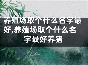 养殖场取个什么名字最好,养殖场取个什么名字最好养猪