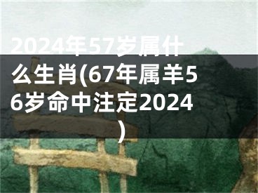 2024年57岁属什么生肖(67年属羊56岁命中注定2024)