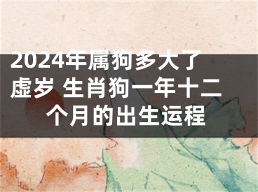 2024年属狗多大了虚岁 生肖狗一年十二个月的出生运程