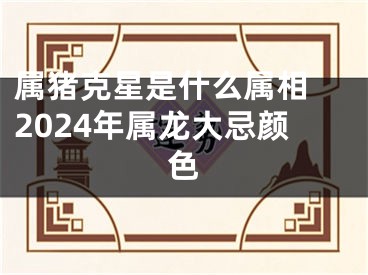 属猪克星是什么属相 2024年属龙大忌颜色