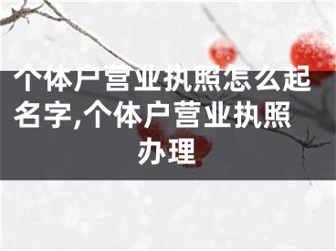 个体户营业执照怎么起名字,个体户营业执照办理