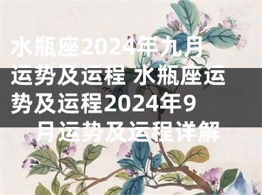 水瓶座2024年九月运势及运程 水瓶座运势及运程2024年9月运势及运程详解