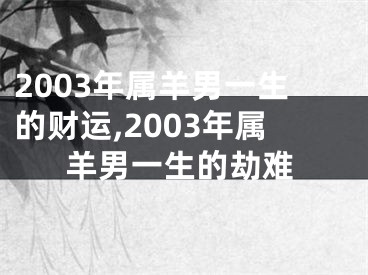 2003年属羊男一生的财运,2003年属羊男一生的劫难