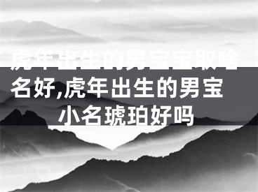 虎年出生的男宝宝取啥名好,虎年出生的男宝小名琥珀好吗