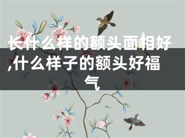 长什么样的额头面相好,什么样子的额头好福气