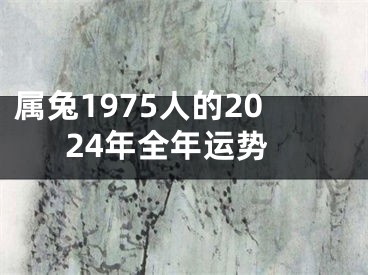 属兔1975人的2024年全年运势