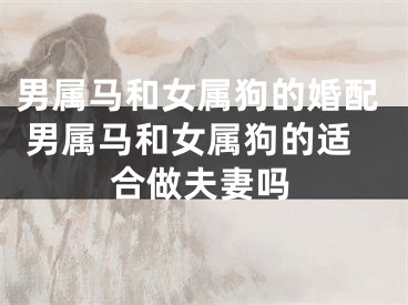 男属马和女属狗的婚配 男属马和女属狗的适合做夫妻吗