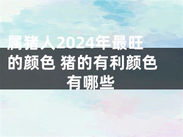 属猪人2024年最旺的颜色 猪的有利颜色有哪些
