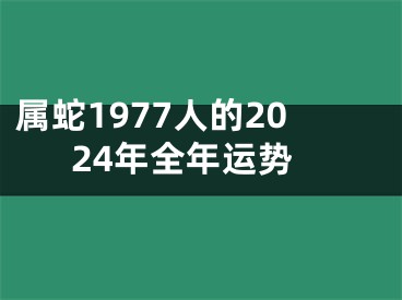 属蛇1977人的2024年全年运势