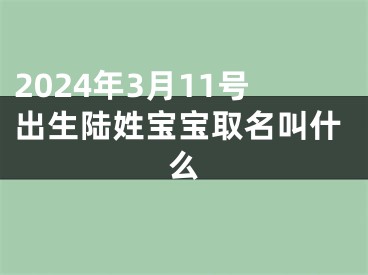 2024年3月11号出生陆姓宝宝取名叫什么