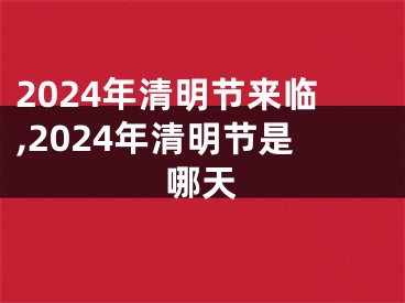 2024年清明节来临,2024年清明节是哪天