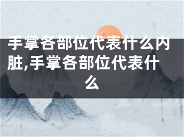 手掌各部位代表什么内脏,手掌各部位代表什么