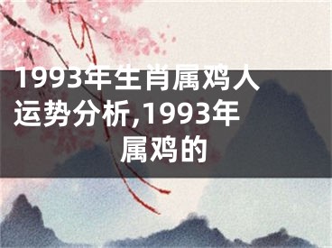 1993年生肖属鸡人运势分析,1993年属鸡的