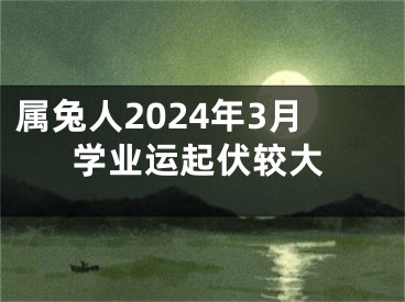 属兔人2024年3月学业运起伏较大