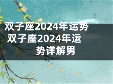 双子座2024年运势 双子座2024年运势详解男