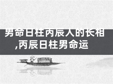 男命日柱丙辰人的长相,丙辰日柱男命运