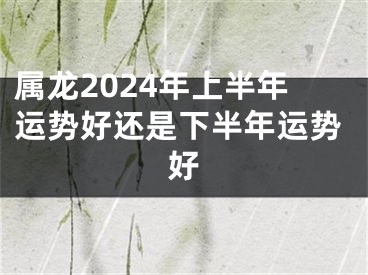 属龙2024年上半年运势好还是下半年运势好