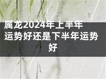 属龙2024年上半年运势好还是下半年运势好