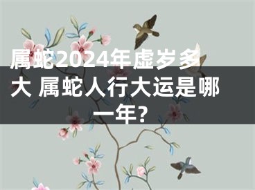 属蛇2024年虚岁多大 属蛇人行大运是哪一年?