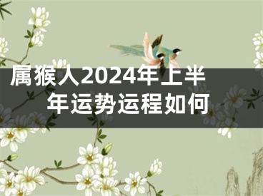 属猴人2024年上半年运势运程如何