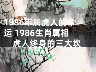 1986年属虎人的命运 1986生肖属相虎人终身的三大坎